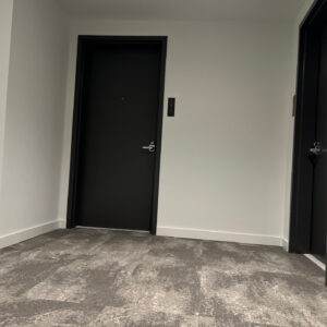 Hollow Metal Door